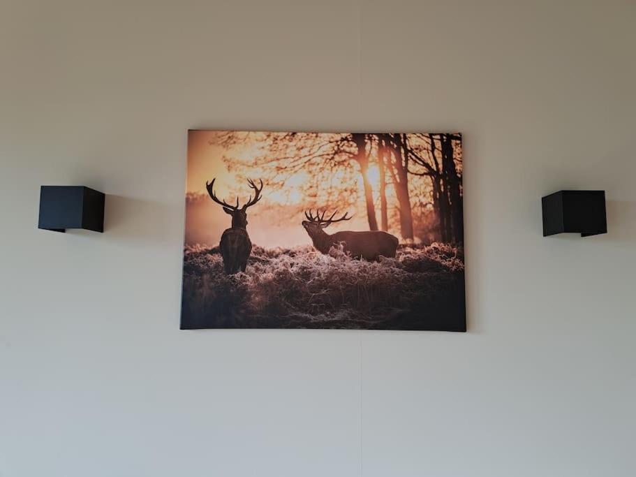 Appartement Lange Heide à Otterlo Extérieur photo